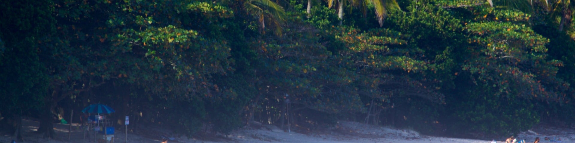 Playa de Lopes Mendes ofreciendo una playa, escenas tropicales y vista general a la costa