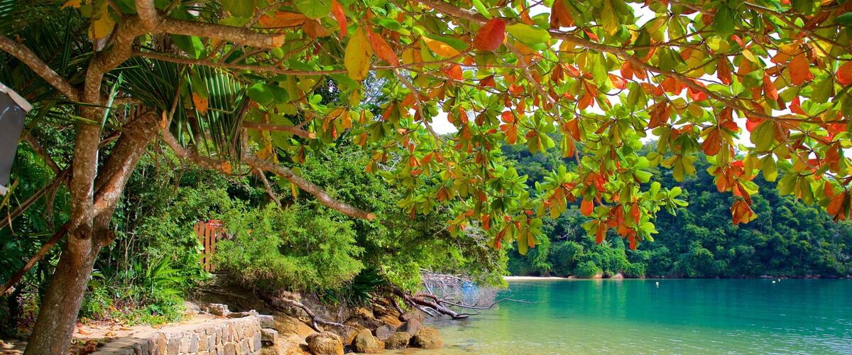 アブラオジーニョ ビーチ どの含み 海岸線の眺め, 常夏の風景 と ビーチ