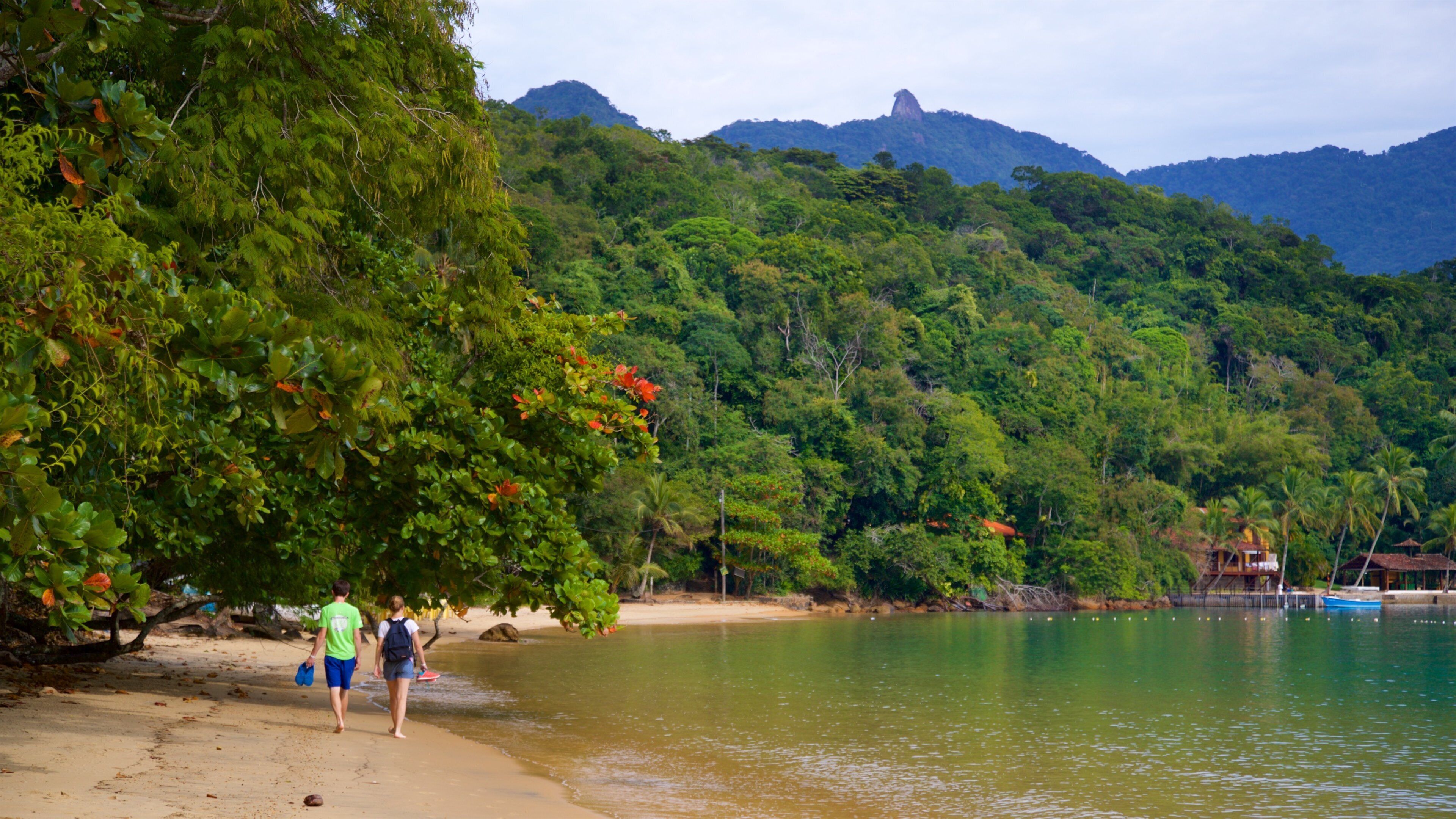 หาด Abraaozinho แสดง ทิวทัศน์เขตร้อน, ชายหาด และ ชายฝั่งทะเล