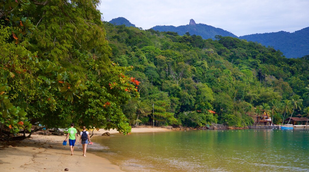 Abraaozinho Beach featuring a beach, tropical scenes and general coastal views