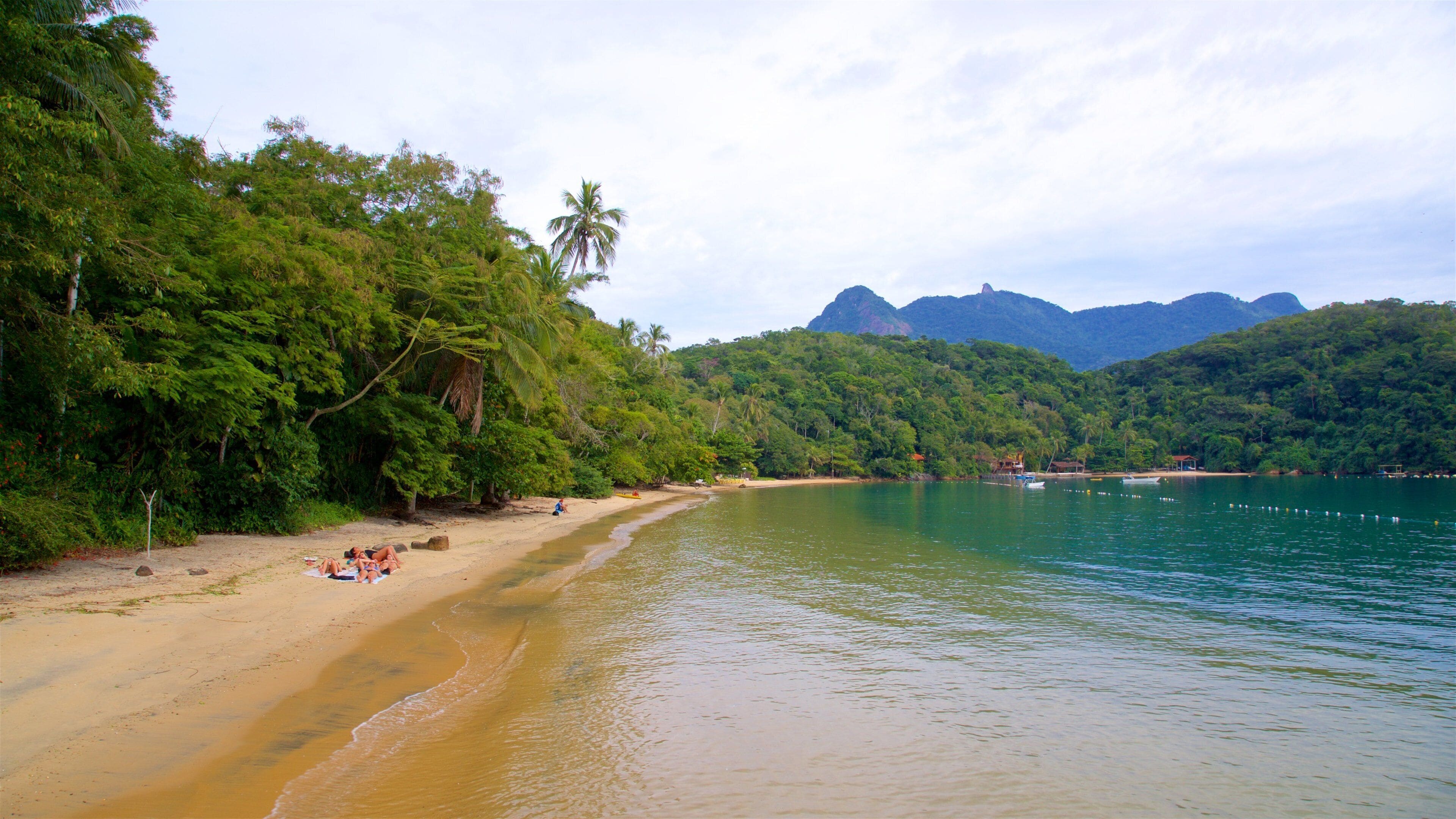 Playa de Abraãozinho que incluye escenas tropicales, vistas generales de la costa y una playa