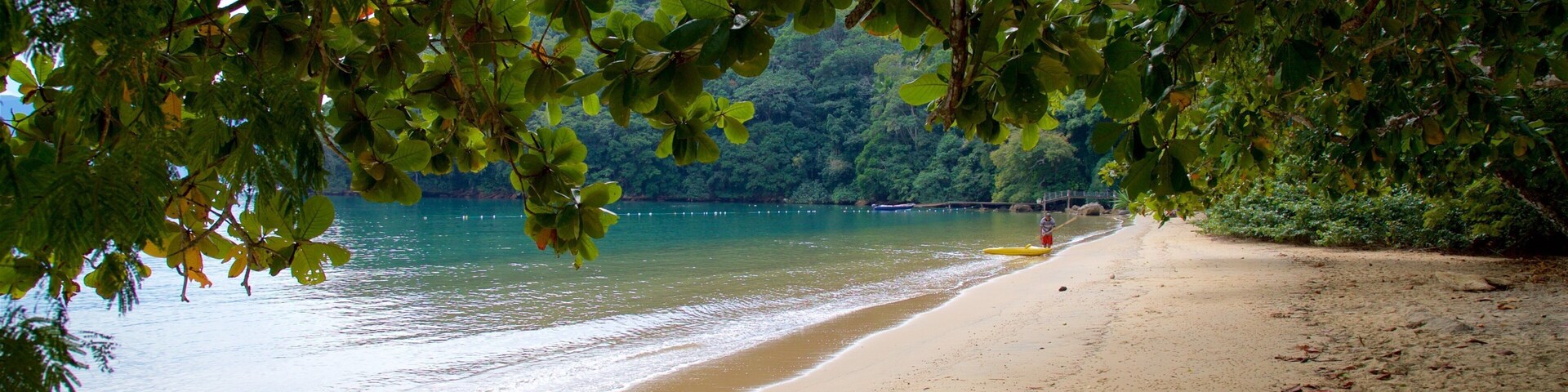 Plage de l\'AbraĂŁozinho mettant en vedette vues littorales, scĂšnes tropicales et plage de sable