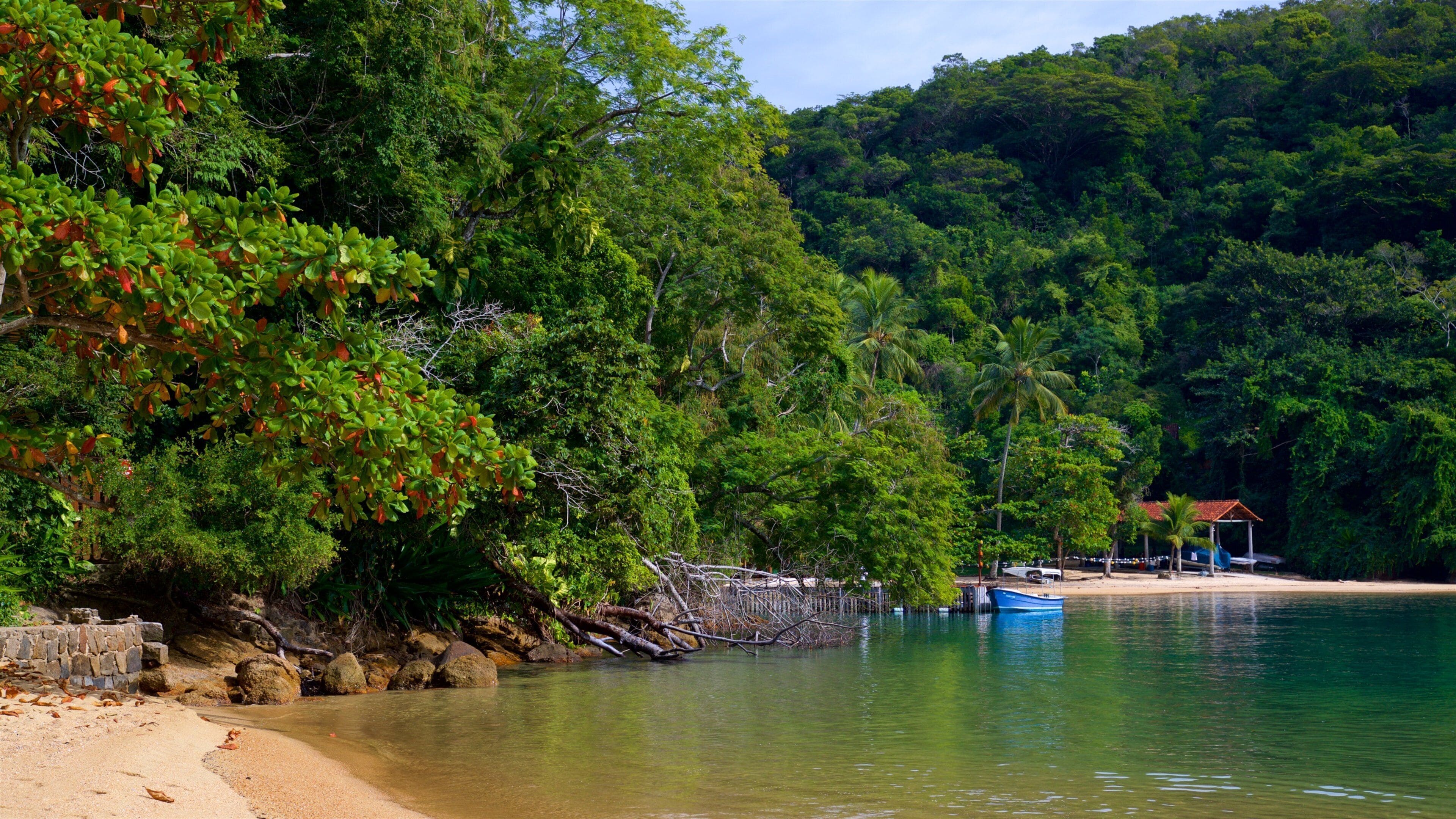 A beach with a boat, a small structure, and dense forest.