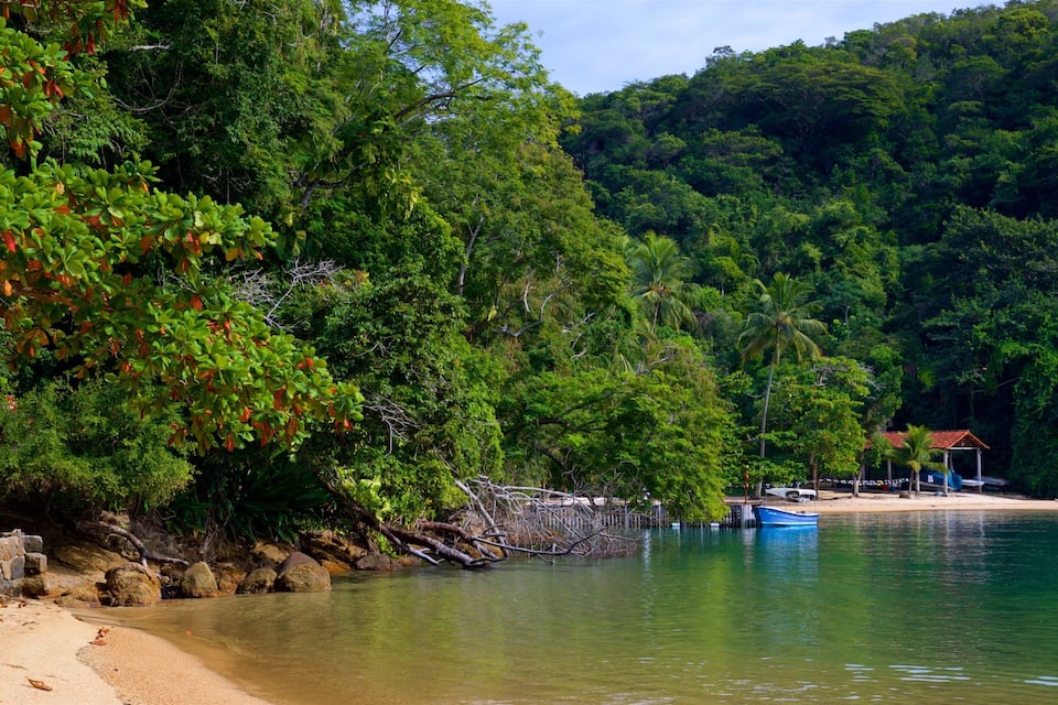 A beach with a boat, a small structure, and dense forest.