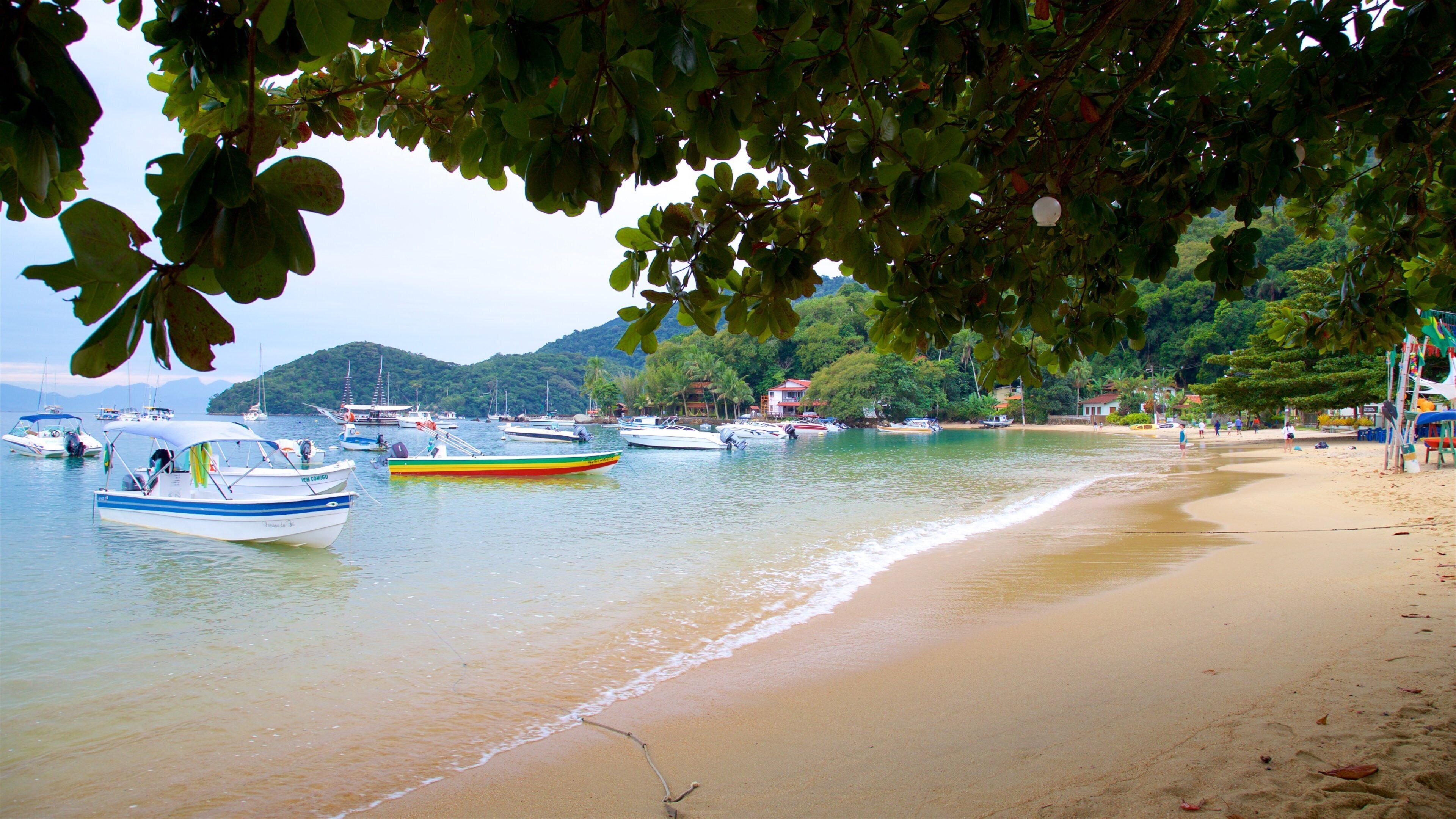 Abraao Beach showing a bay or harbour, a beach and general coastal views