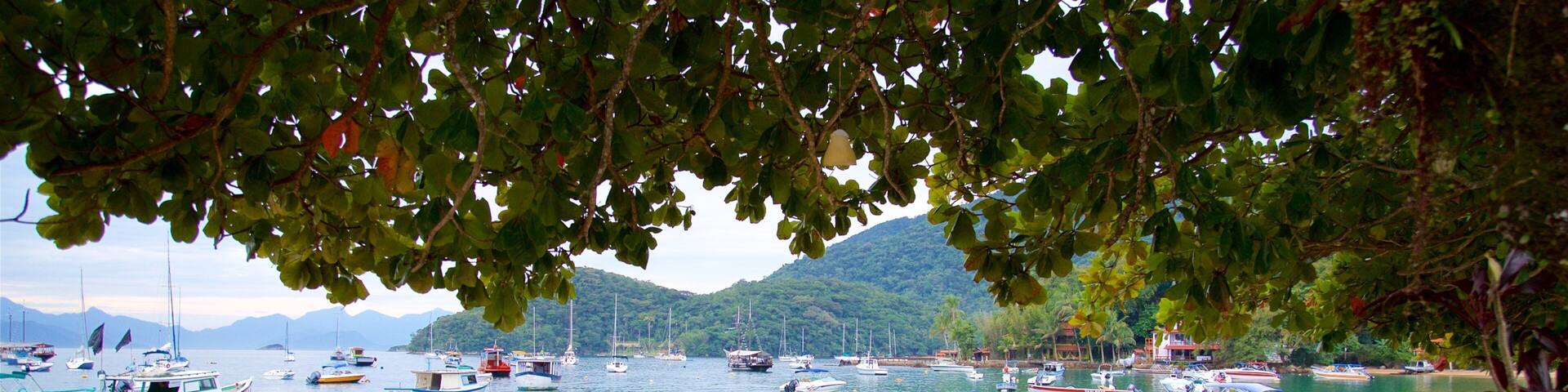Abraao Beach showing general coastal views, a bay or harbour and a beach