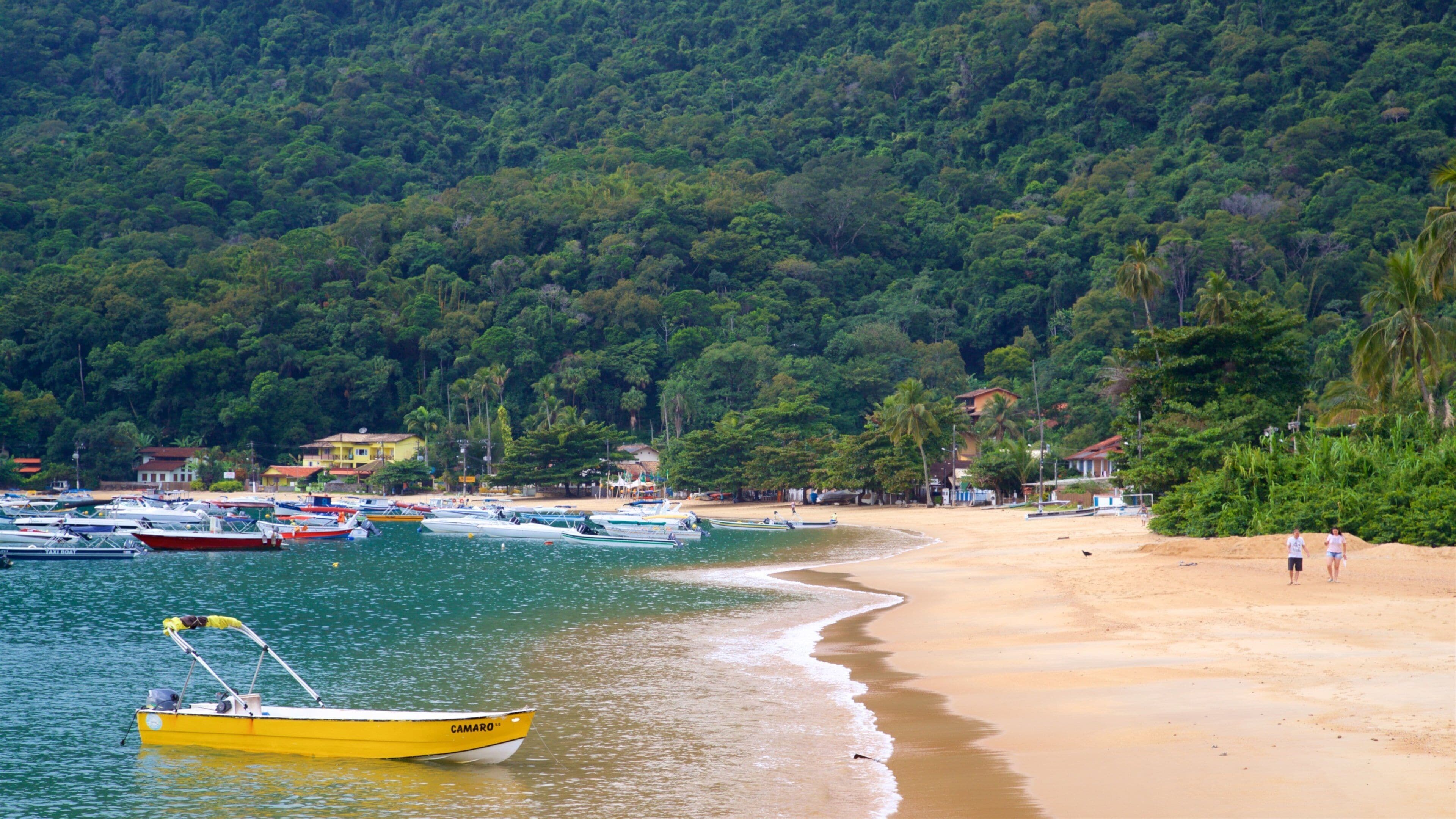 Plage d\'Abraão montrant baie ou port, scènes tropicales et plage de sable