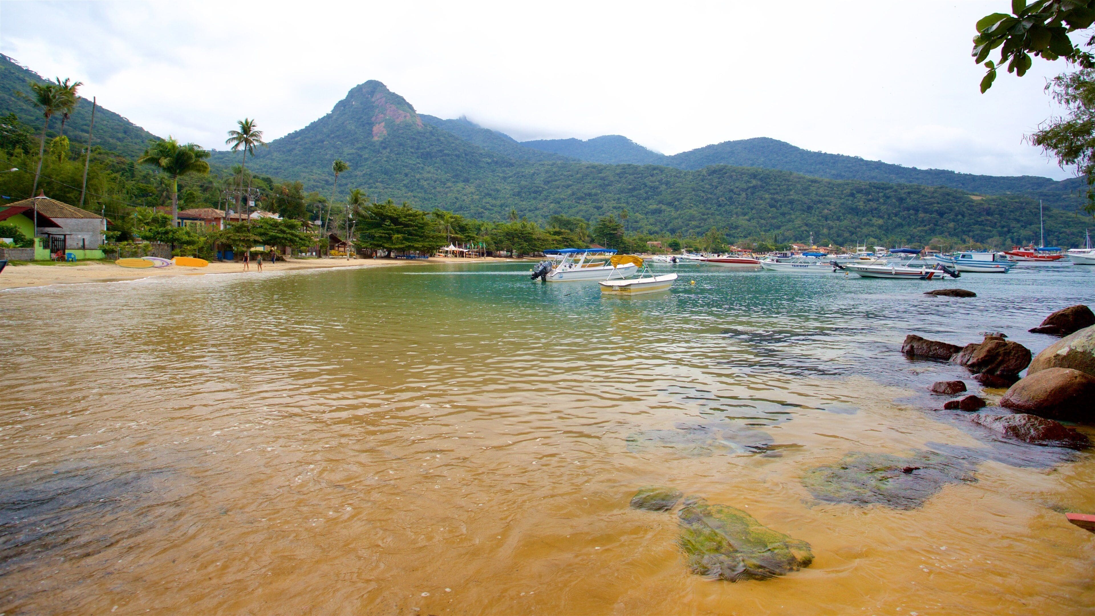 A beach with boats, a mountain, and houses.