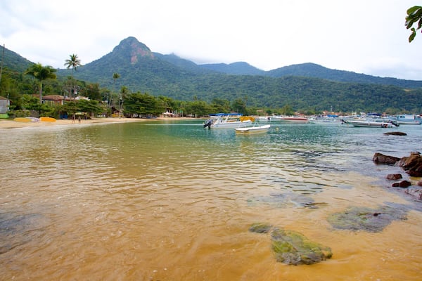A beach with boats, a mountain, and houses.