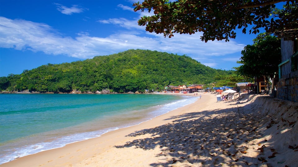 A beach with clear turquoise water, a sandy shore, and a forested hill in the background.