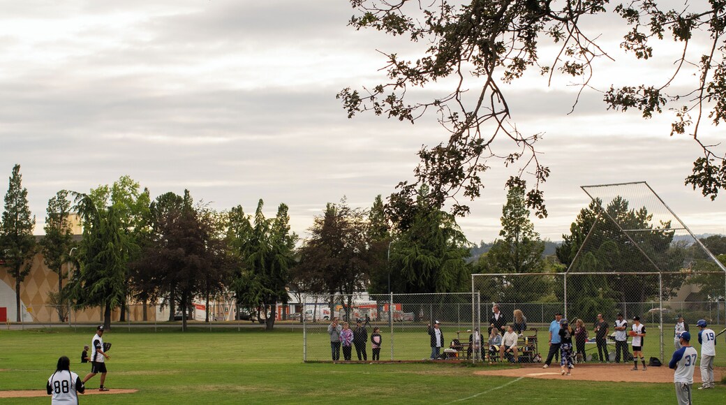 EyeEm Custom Shoots Q4 2018