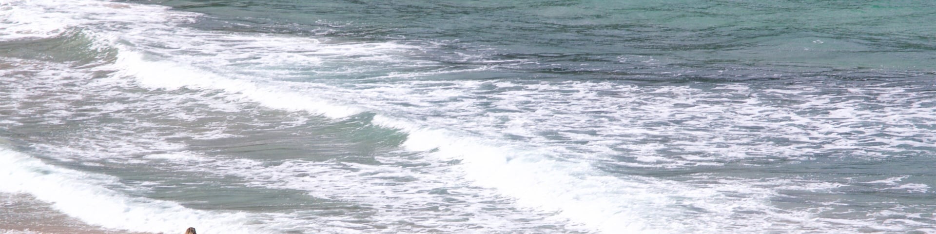 Brava Beach which includes general coastal views and a beach as well as an individual femail