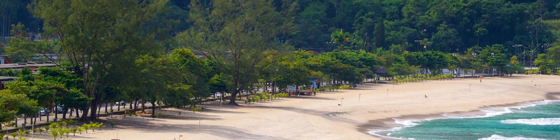 Une plage aux eaux turquoise et limpides, bordée d’un rivage sablonneux, avec une forêt verdoyante et luxuriante en arrière-plan.