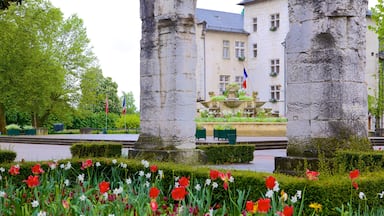 Aix-les-Bains mettant en vedette parc et fleurs