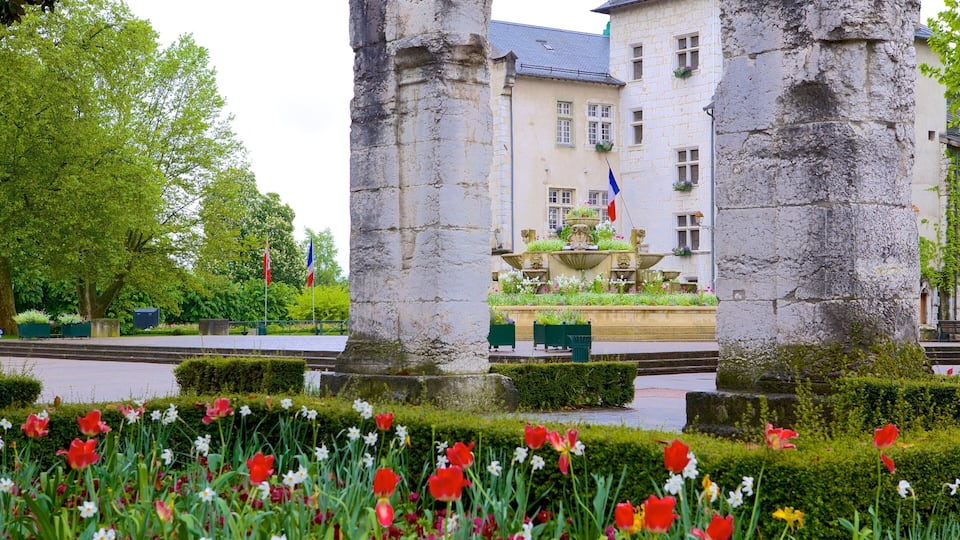 Aix-les-Bains qui includes jardin et fleurs