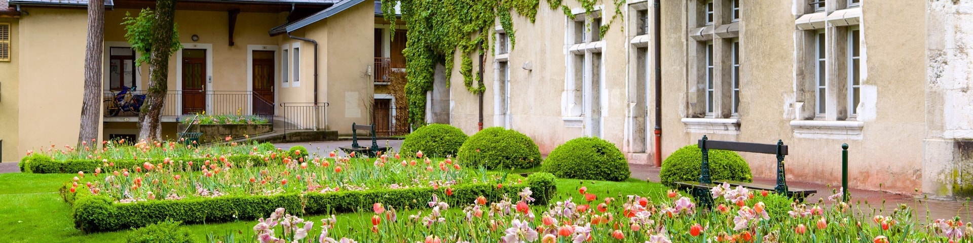 Aix-les-Bains featuring a garden and flowers
