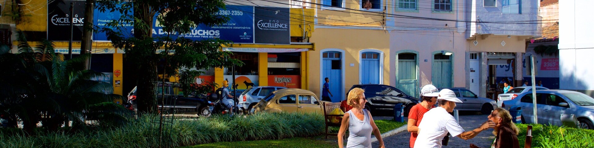 Nilo Pecanha Square showing a garden as well as a small group of people