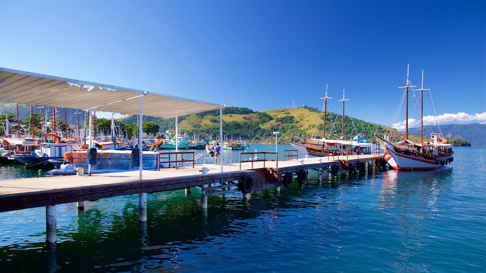 Angra dos Reis Port showing a bay or harbor