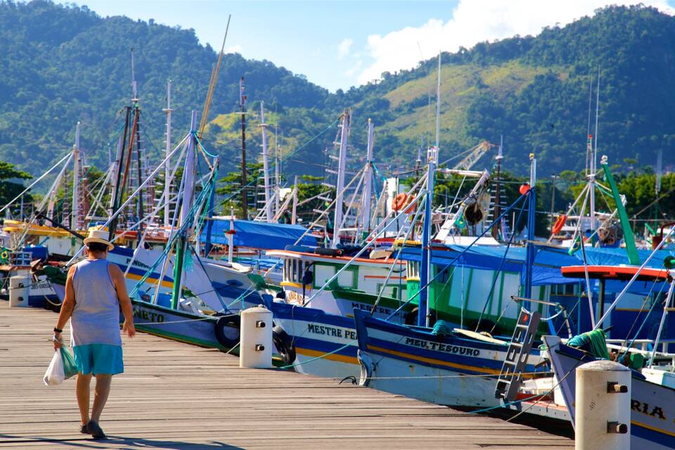 Un muelle con varias embarcaciones, una persona caminando y un paisaje montañoso al fondo.