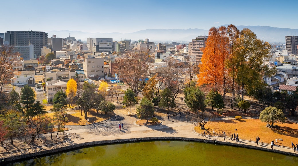 Matsumoto Castle which includes a city and landscape views