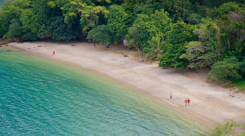 Camorim Beach featuring a beach, tropical scenes and general coastal views