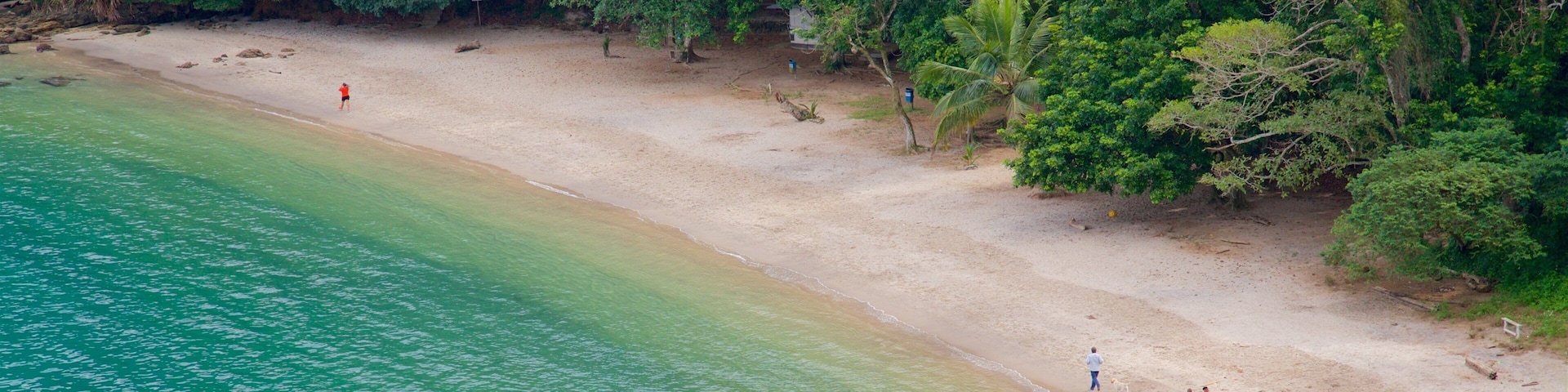 Camorim Beach featuring a beach, tropical scenes and general coastal views