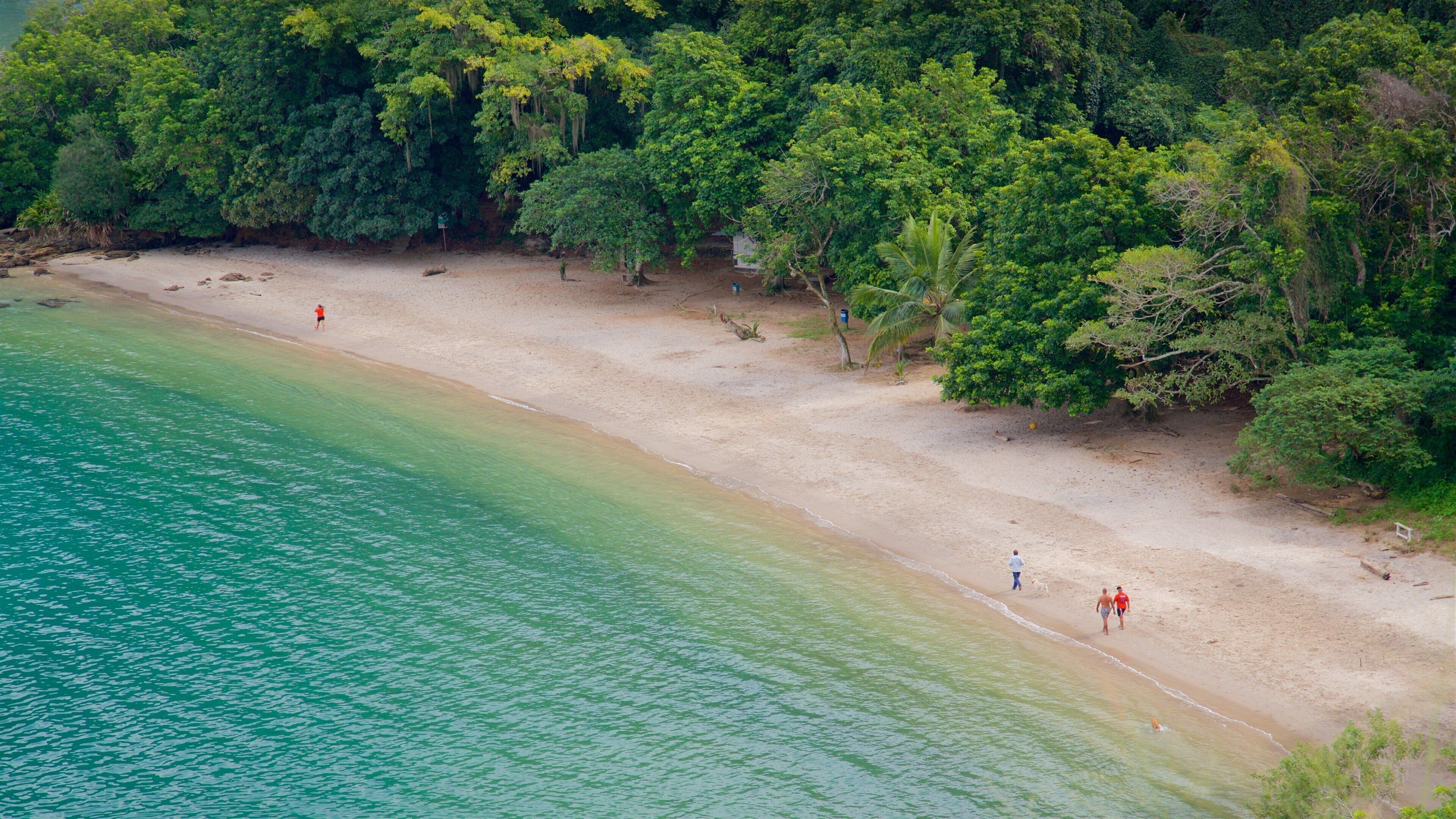 A beach with clear turquoise water, sandy shore, and dense green foliage.