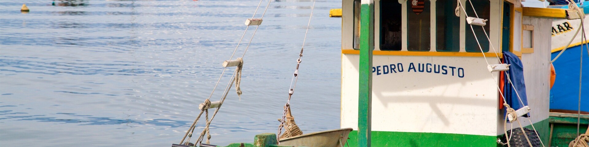 Camorim Beach featuring a bay or harbor