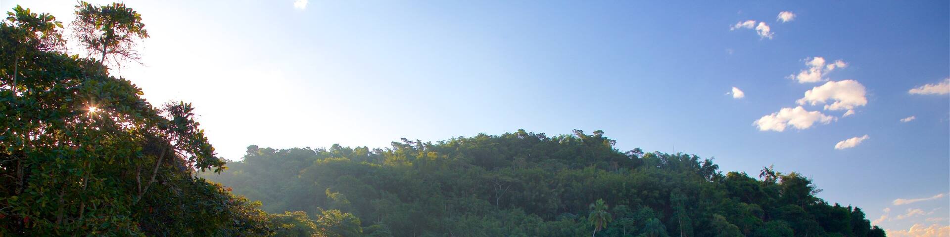 Pontal Beach which includes general coastal views and a beach