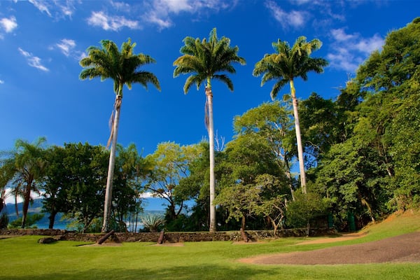 Forte Defensor Perpetuon museo featuring puisto