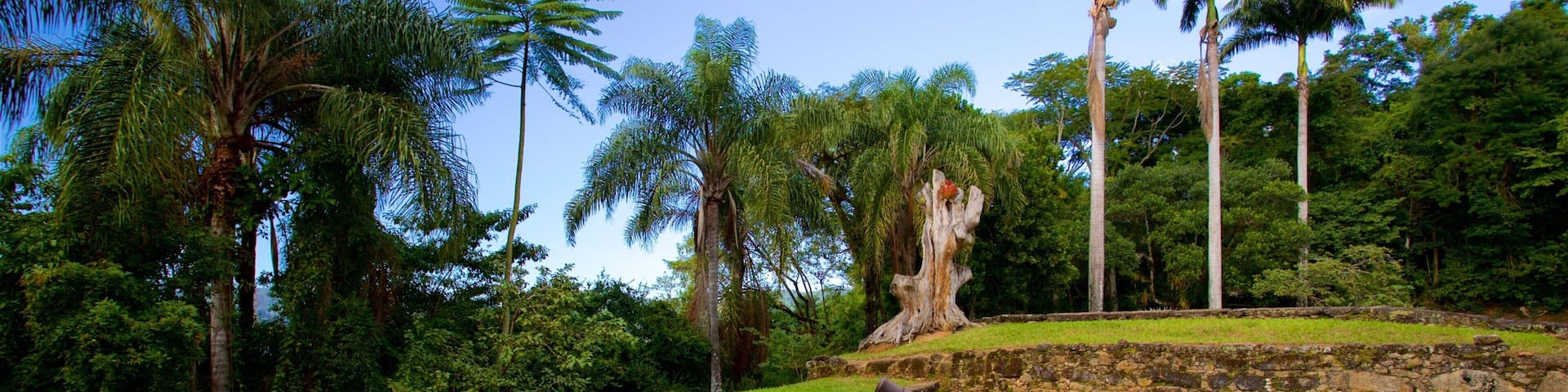 Defensor Perpetuo Fort Museum which includes a park and heritage elements