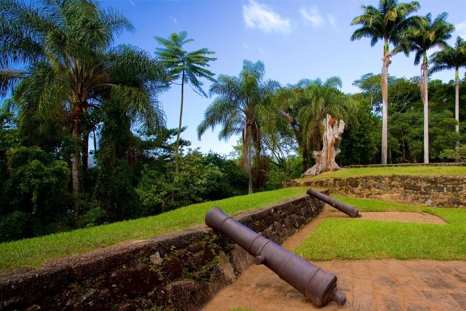 A cannon in a grassy area with palm trees and a large tree trunk in the background.