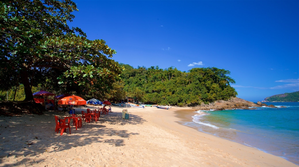 Meio-stranden som viser tropisk landskap, kyst og sandstrand