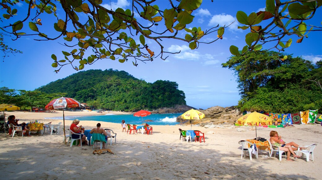 Meio Beach featuring general coastal views, a beach and tropical scenes
