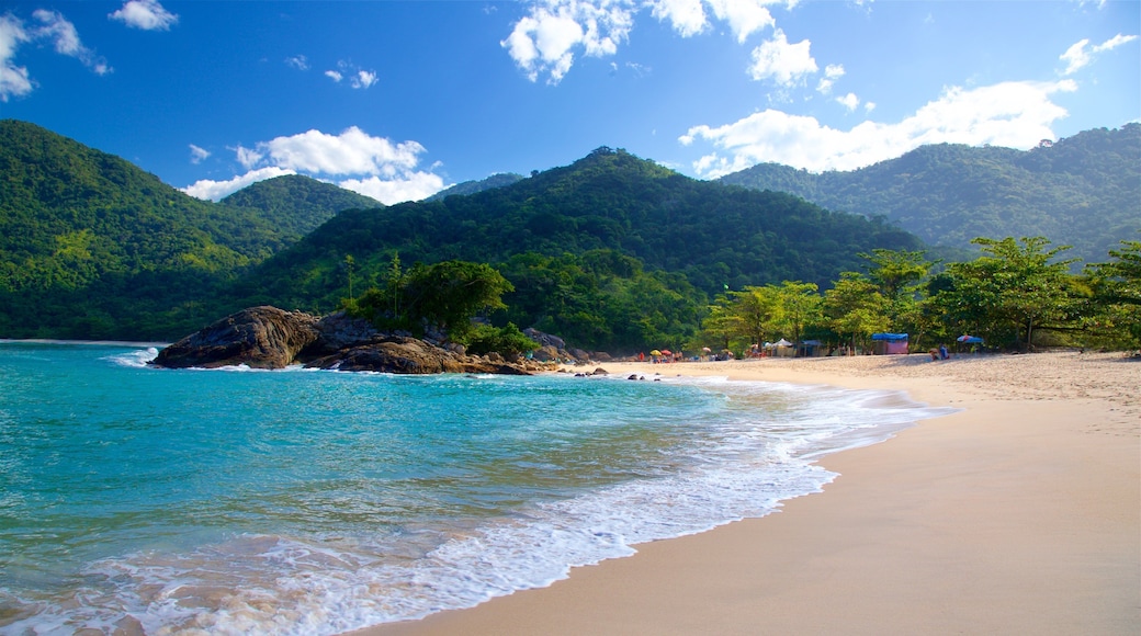Meio Beach featuring tropical scenes, a beach and general coastal views