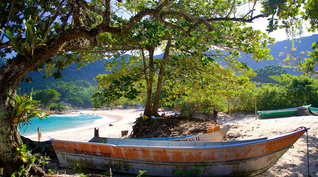 Meio-stranden som viser kyst, tropisk landskap og sandstrand