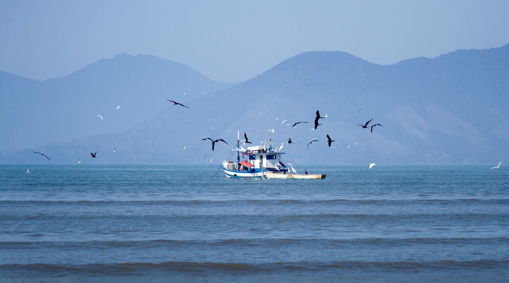 Wooden fishing boat on the sea with a bunch of marine birds flying around.