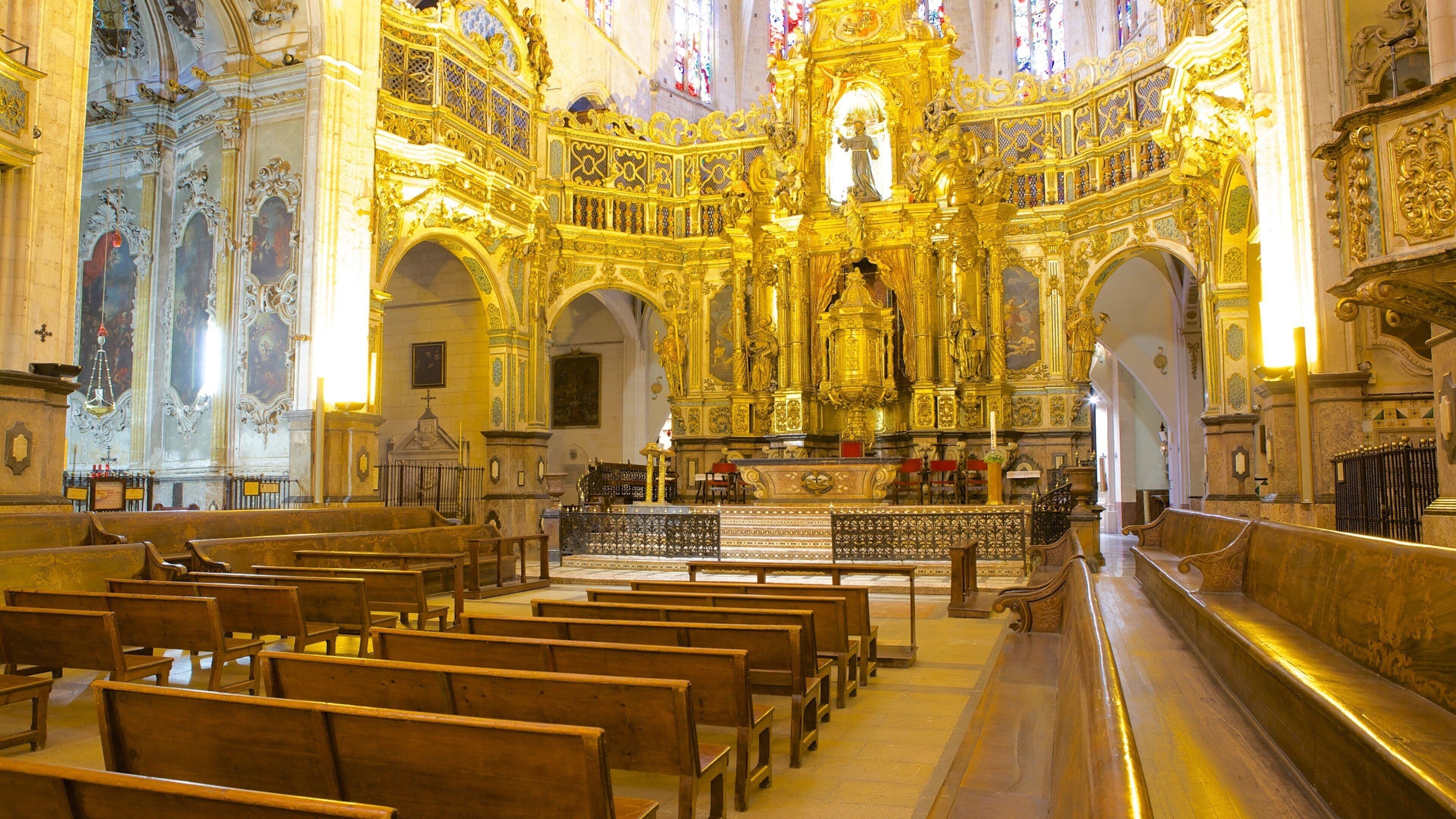 Basilica di San Francesco caratteristiche di religiosità, vista interna e chiesa o cattedrale