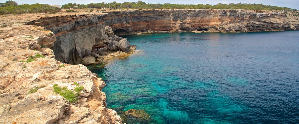 Punta Pedrera which includes rugged coastline and general coastal views