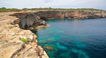 Punta Pedrera which includes rugged coastline and general coastal views