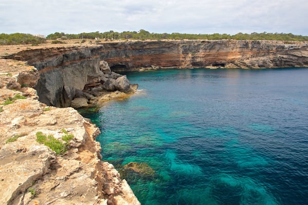 Punta Pedrera which includes rugged coastline and general coastal views