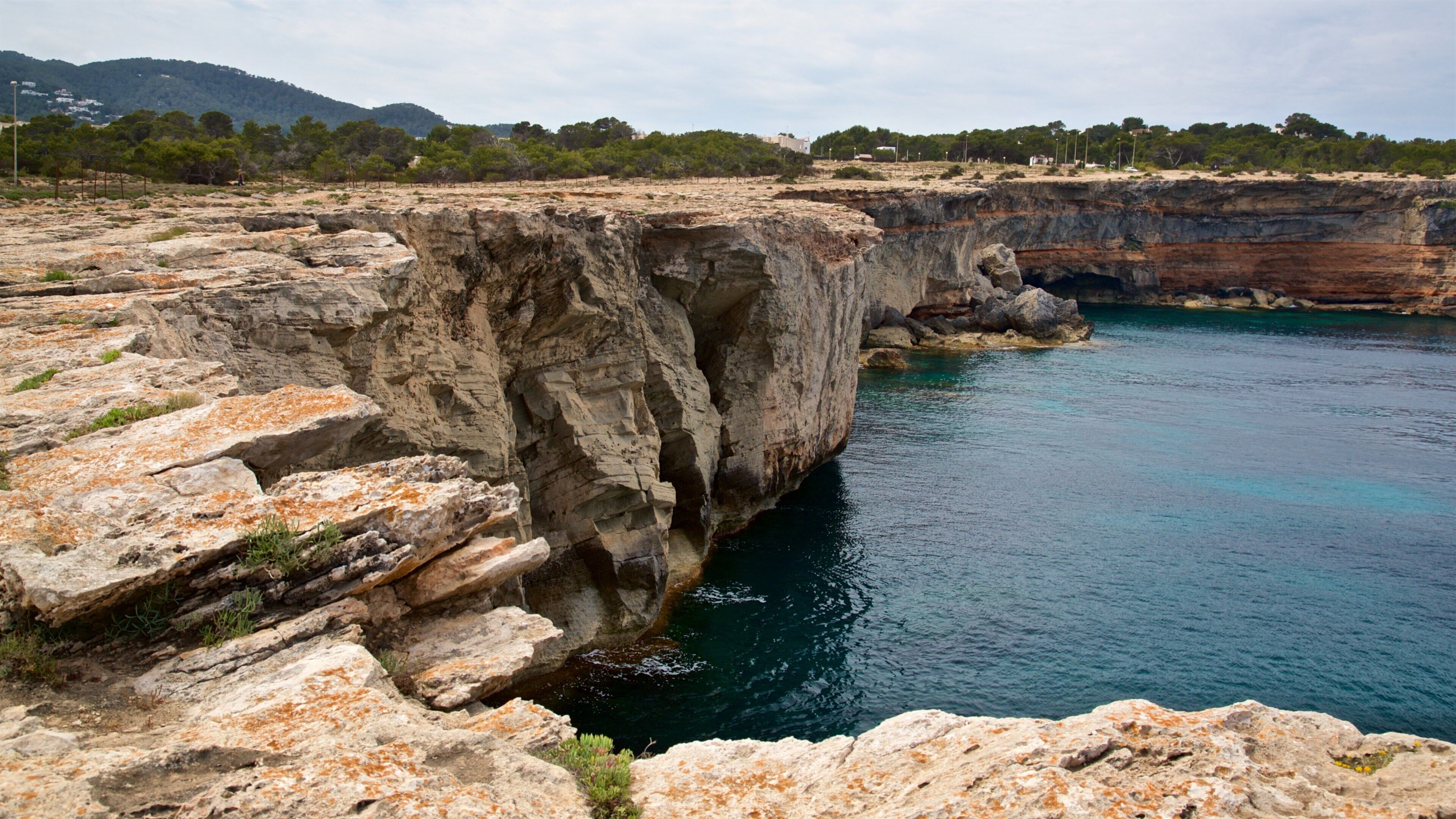 Punta Pedrera showing rugged coastline and general coastal views