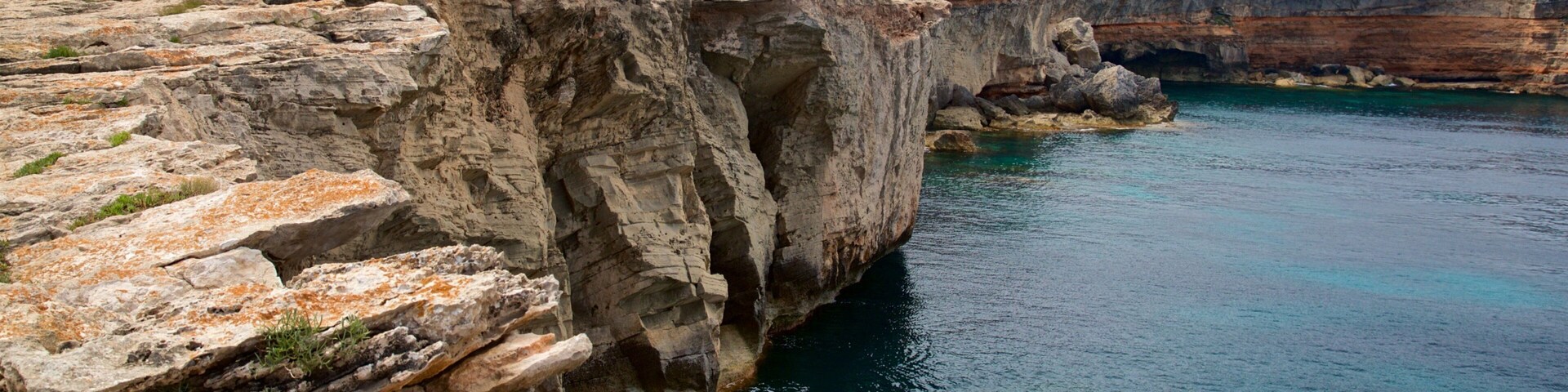 Punta Pedrera showing rugged coastline and general coastal views