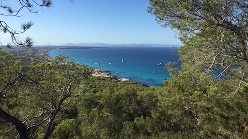 Es calo' dal Mirador formentera