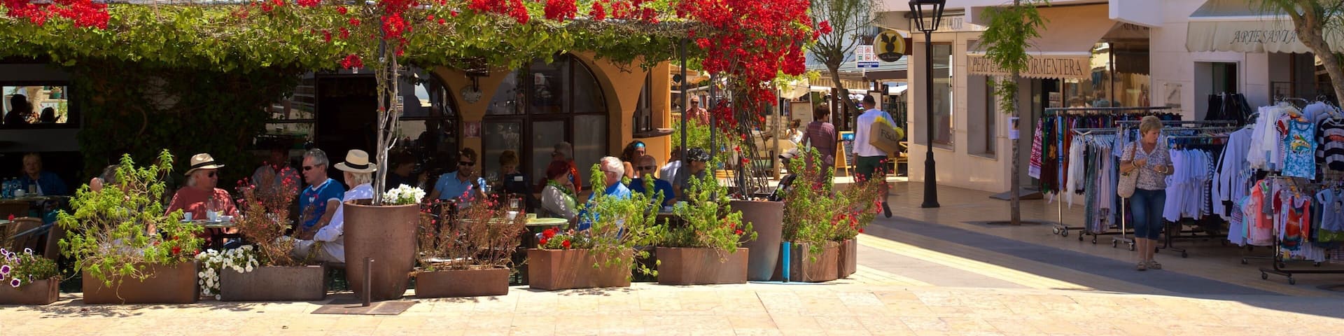 Formentera which includes flowers and signage