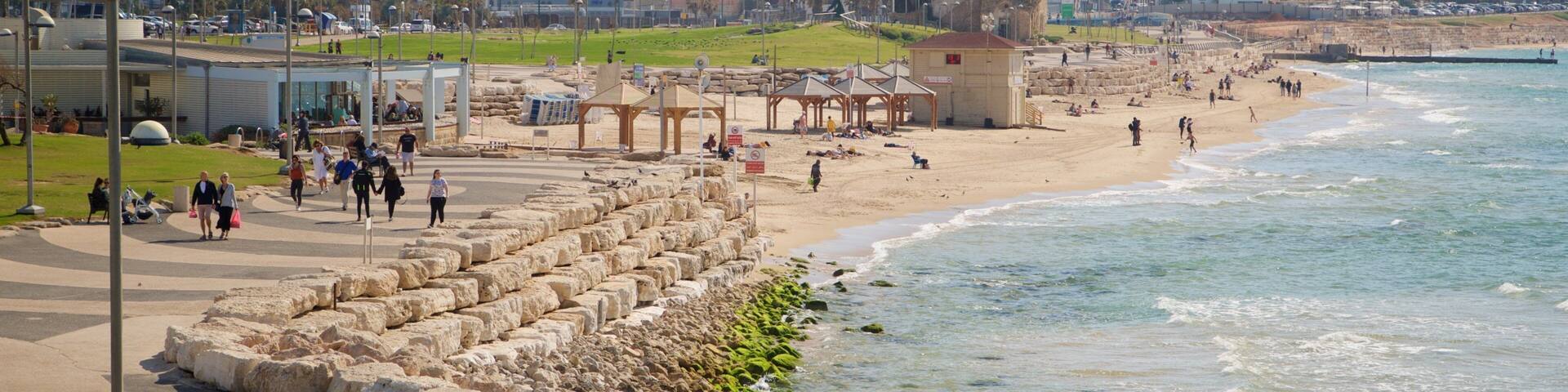 Charles Clore Garden