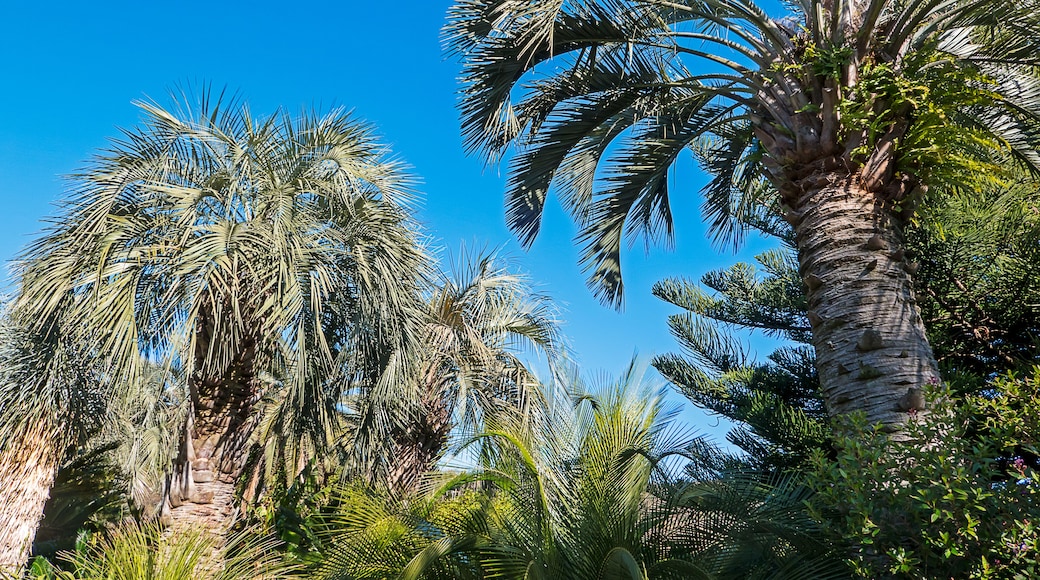 Jardim Tropical e de Crocodilos de Atagawa