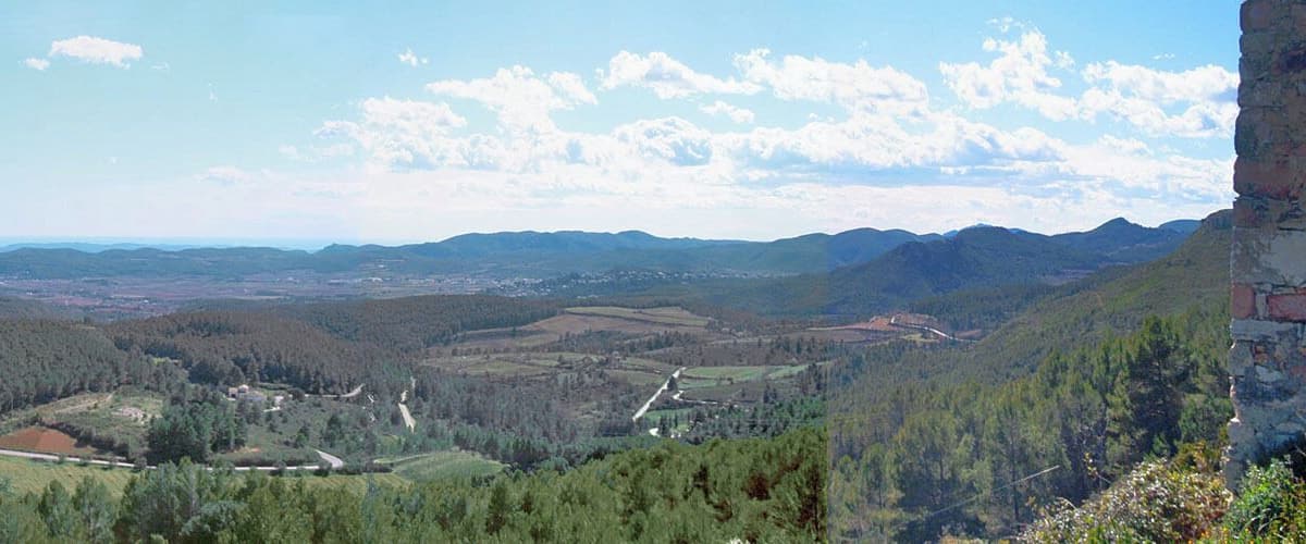 A panoramic view of a valley with a mix of forested areas and agricultural fields, a distant mountain range, and a clear sky.