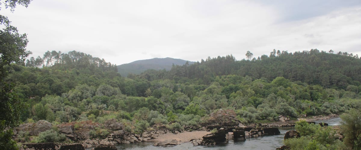 A river flowing through a forested valley with a person standing near the water's edge.