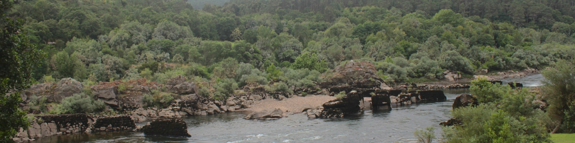 A river flowing through a forested valley with a person standing near the water's edge.